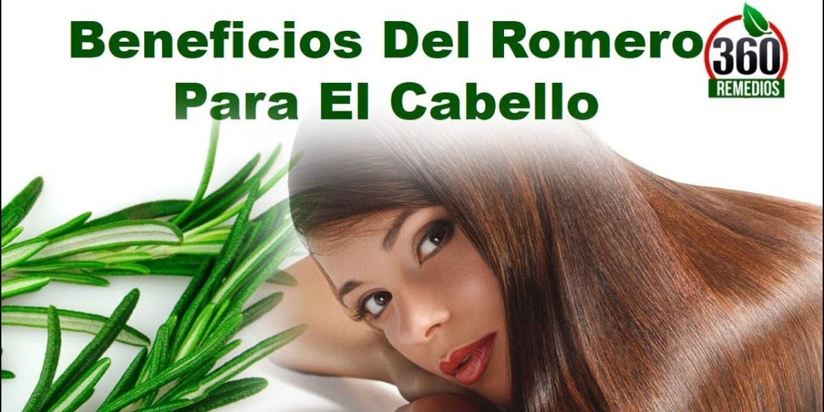 Descubre los excelentes beneficios del romero para tu salud