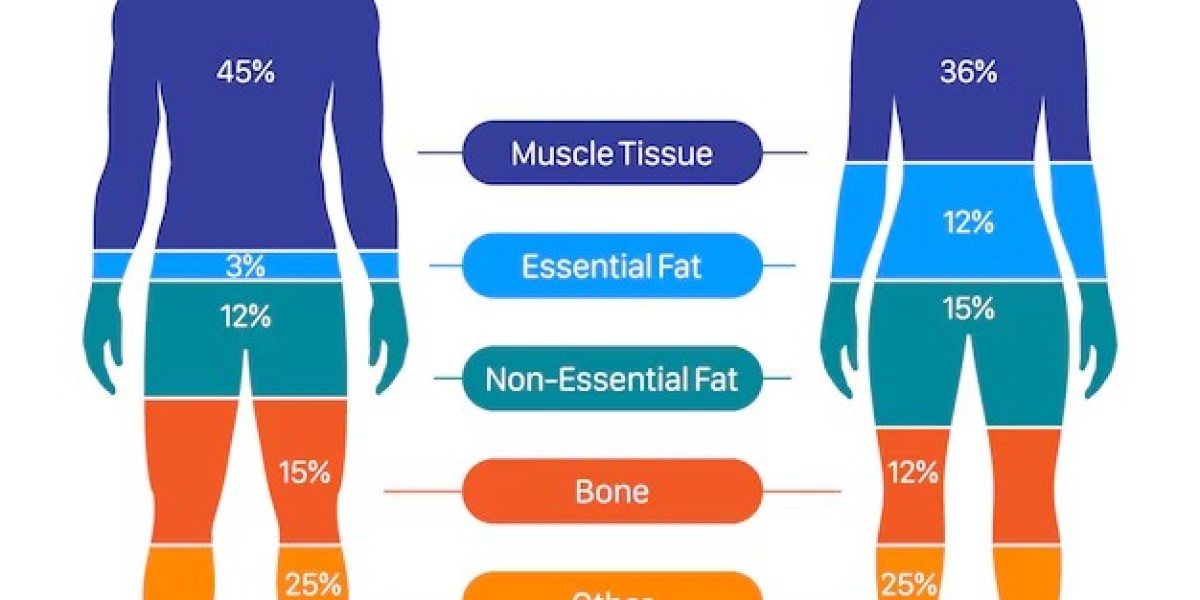 Human body Organs, Systems, Structure, Diagram, & Facts