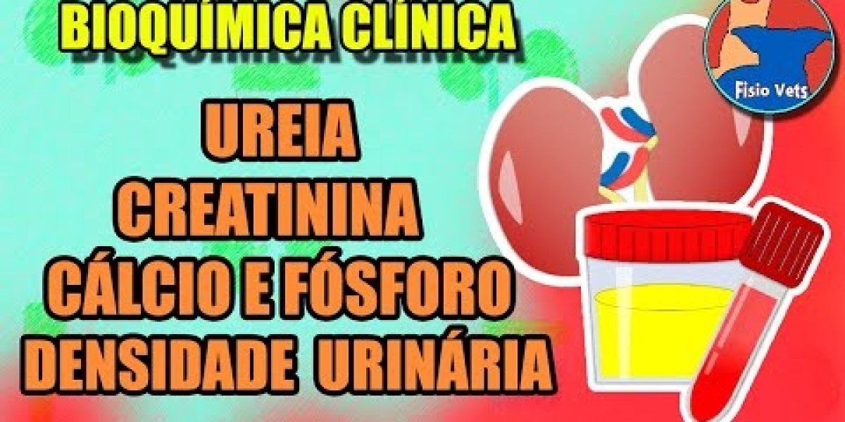 Entenda os Sinais e Consequências da Insuficiência Hepática em Cães: O Que Todo Tutor Deve Saber