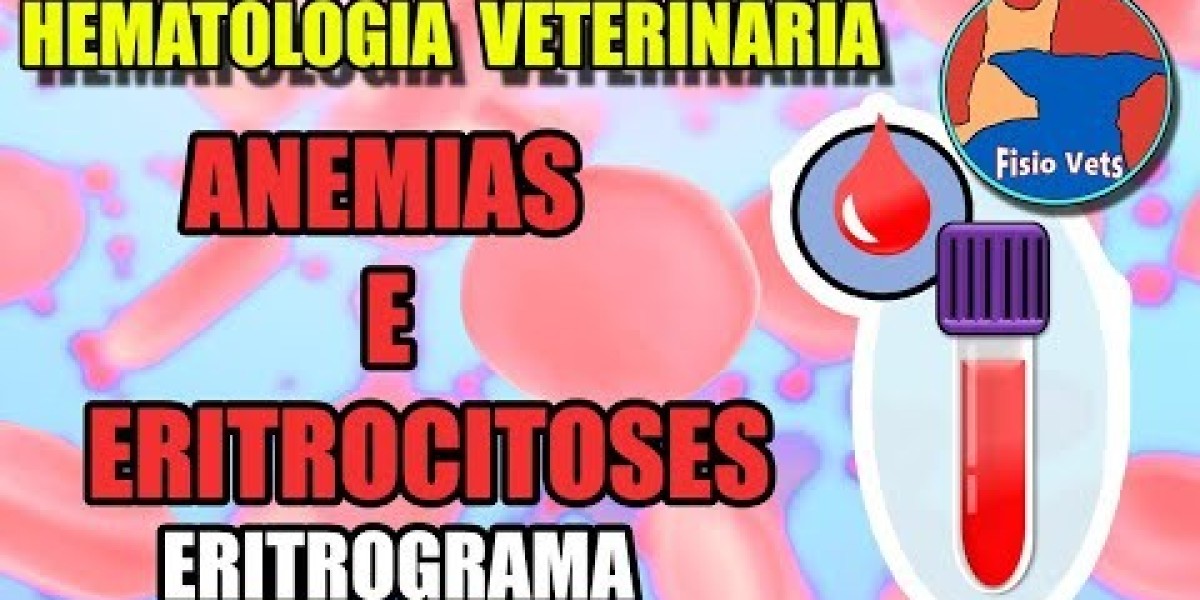 Sinais e Sintomas no Exame de Sangue: O Que Revela a Saúde do Seu Pet em Caso de Câncer?