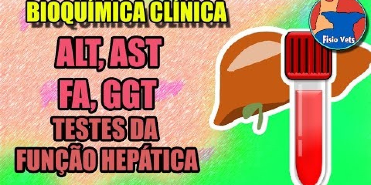 Ultrassom Veterinário 24 Horas: A Nova Esperança para a Saúde dos Seus Pets