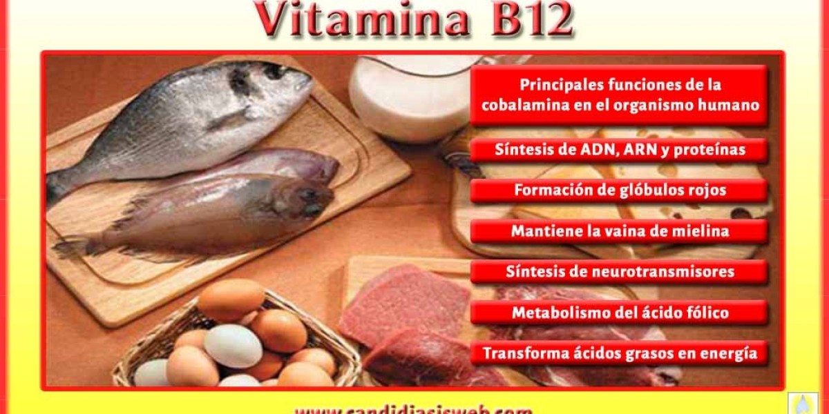 Qué es la biotina y para qué sirve Conoce a la vitamina de la belleza y cómo nos beneficia