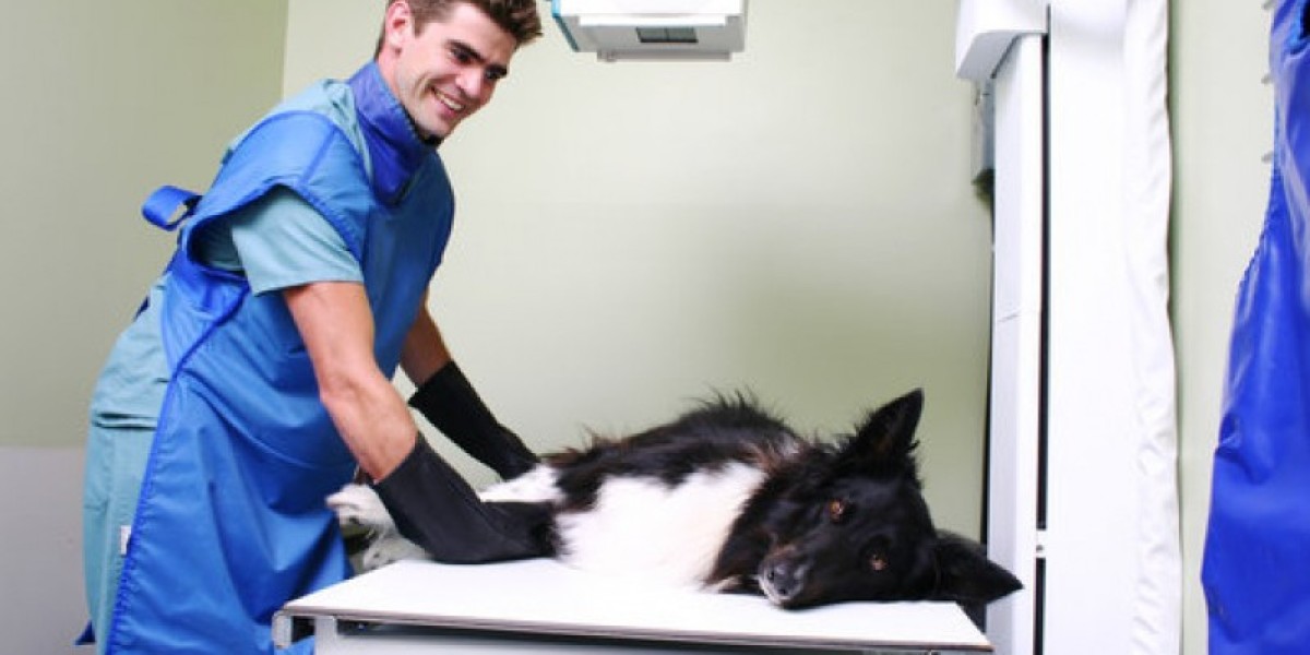 How Much Does A Dog Xray Cost