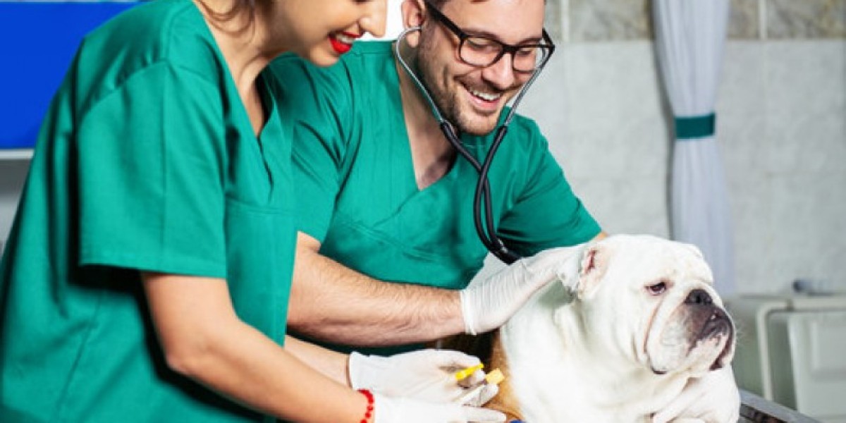 Types of Veterinary Medical Tests Special Pet Topics